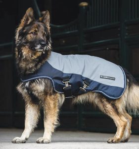 Barn Dog Gear - Rambo Reflective Dog Blanket