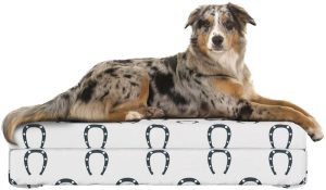 Lunarable Horseshoe Dog Bed