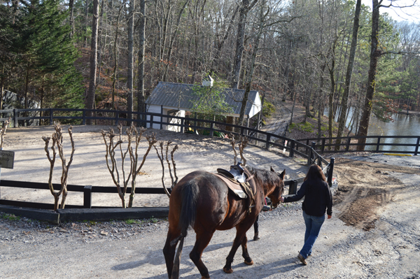 Career as a Barn Manager