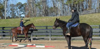 Career as a Barn Manager Teaching a Riding Student