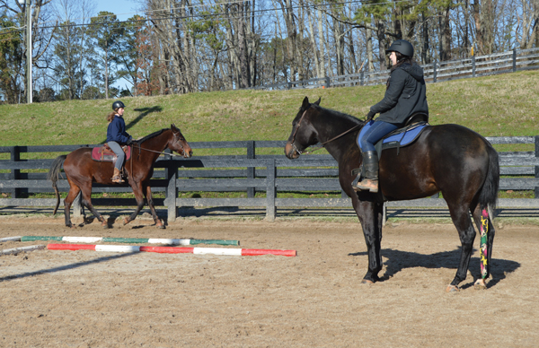 Career as a Barn Manager Teaching a Riding Student