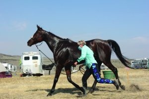 Rider trotting out horse at finish check.