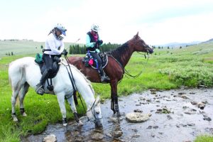 Horses and riders on Big Horn 100 trail. 