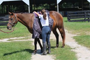 Placing horse blanket over withers.