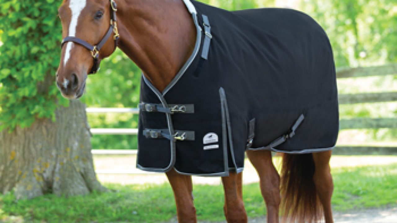 Blanket Fit For Any Horse Horse Illustrated Magazine