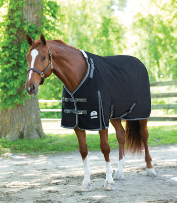 Blanket on a Narrow Horse