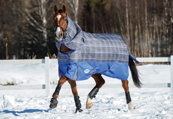 Blanket on a Wider Horse