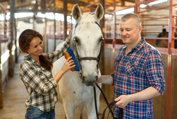 Bonding at the Barn