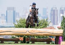 Boyd Martin and Tsetserleg Cross-Country - Tokyo Olympics
