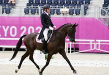 Boyd Martin and Tseterleg - Tokyo Olympics