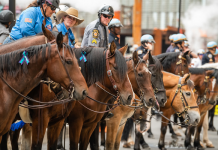 BraveHearts Lineup for Veterans Day