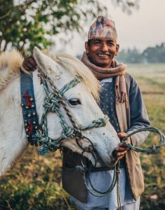 Help for Hard-Working Equines Through Brooke and Brooke USA