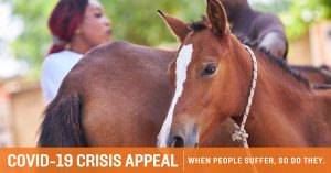 Brooke USA Launches Fundraising Effort to Fight Coronavirus Pandemic