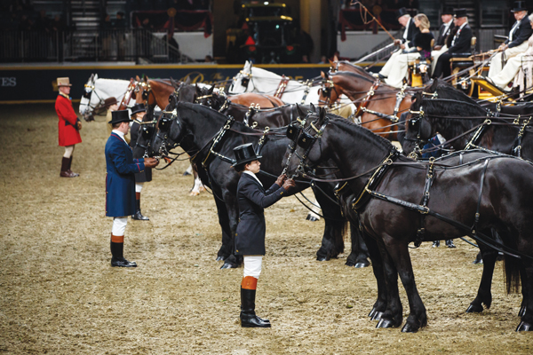 The Royal Agricultural Winter Fair - All You Need to Know BEFORE You Go  (with Photos)