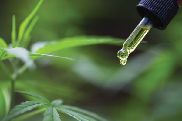 CBD for Horses
