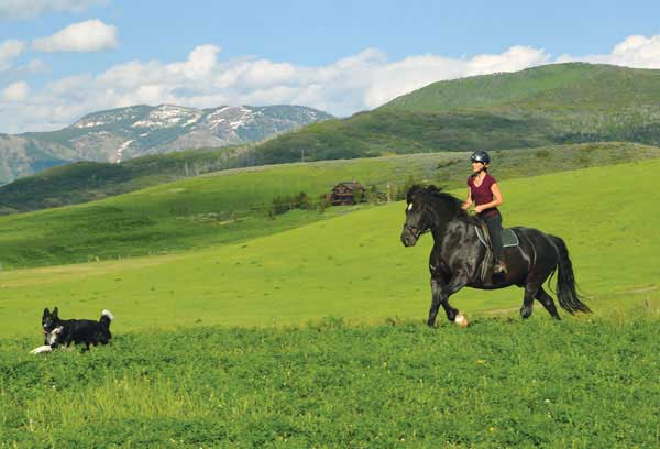Alyssa Mathews and Nash - Discover the Horse