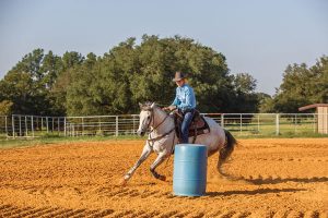 Horse barrel riding in arena.