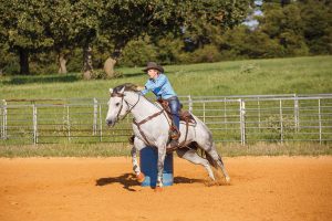 Horse barrel riding. Western Style.