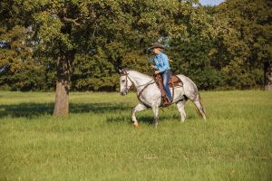 Riding horse near woods.