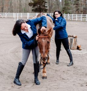 An Equine Massage Therapist and Chiropractor Combine Forces to Heal a Mystery Lameness