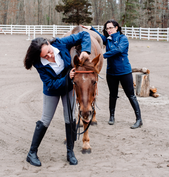 Heather Wallace and Madelyn Rauch with a mystery lameness