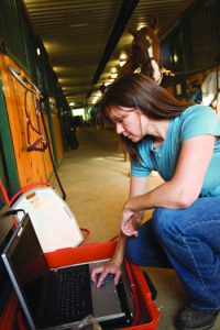 Vet visiting horses at the barn.