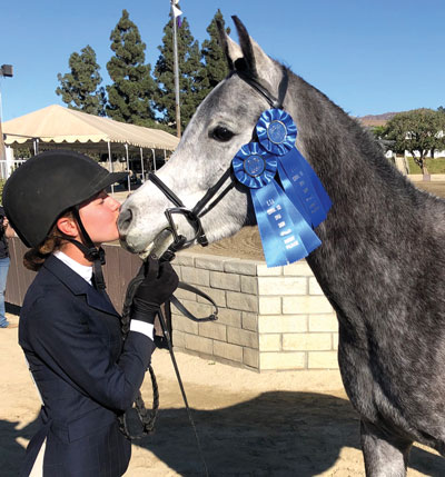 Christina Povo with Mahdi - Arabian Horse at Show
