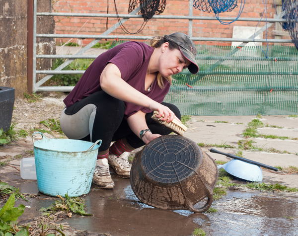 Cleaning Feed Pans and Buckets