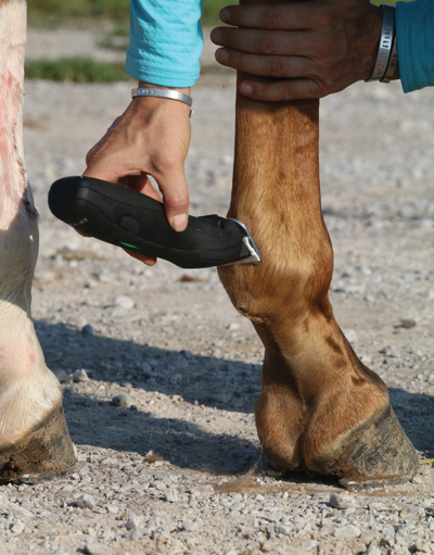 Clipping fetlocks - Grooming makeover with Emma Ford
