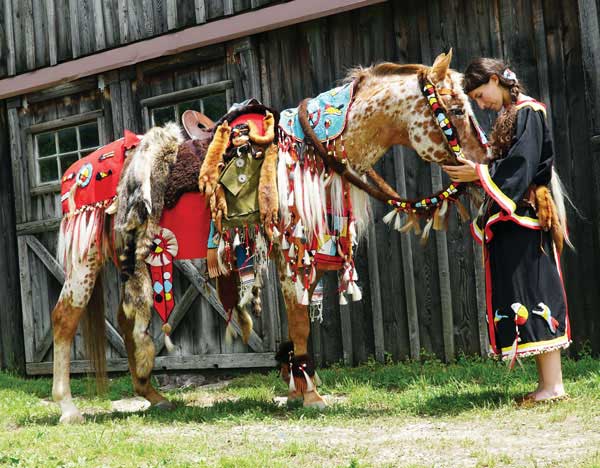 Colorado Ranger Horse at Horizon Hill Ranch