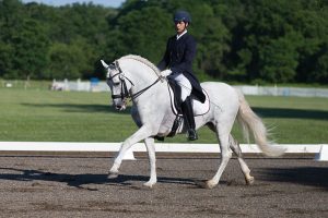 Horse and rider in competition arena.