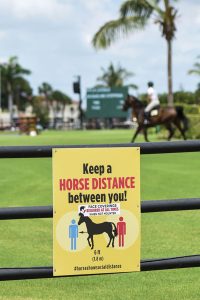 Pandemic Pandemonium: The Effect of COVID-19 on the Horse Industry