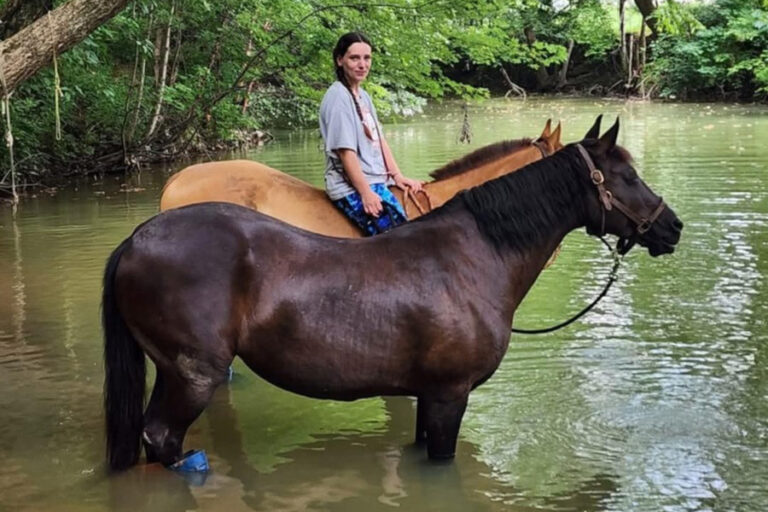 ASPCA Right Horse Adoptable Horse of the Week: Dakota