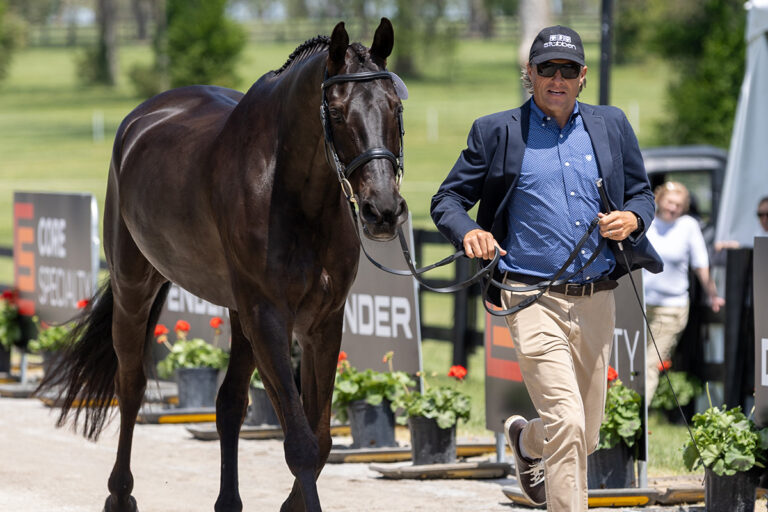 2026 Defender Kentucky Three-Day Event: All Horses Pass First Horse Inspection