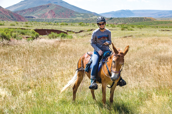 Daisy the Wonder Mule