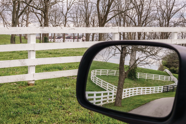 Side mirror