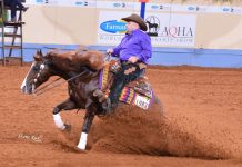 Reining during 2020 AQHA Worlds