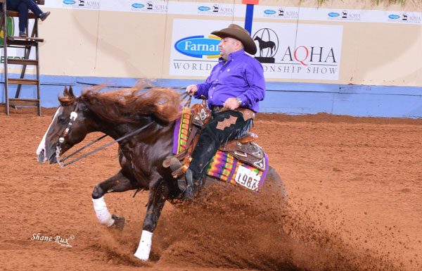 Reining during 2020 AQHA Worlds