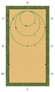 Mastering Dressage Exercises of Circles and Squares