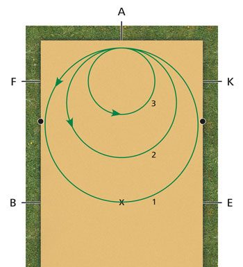 Diagram - Dressage Exercise Circle