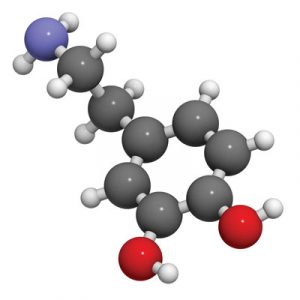 Dopemine molecule