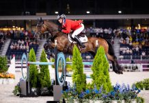 Doug Payne and Vandiver - Tokyo Olympics Eventing Show Jumping
