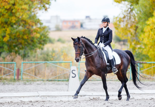 Advance in Dressage