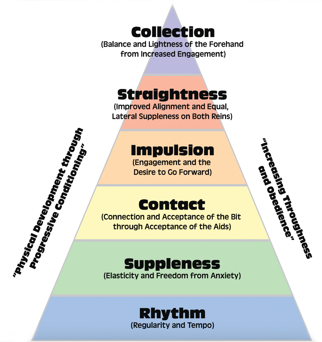 dressage pyramid of training