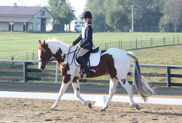 Kid riding dressage
