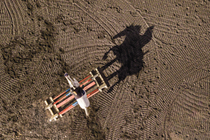 Horses from Above: Drone Photography of Horses