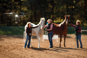 Drone around horses