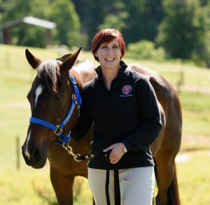 New Therapy Could Combat Persistent Joint Infections in Horses