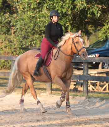 Good canter