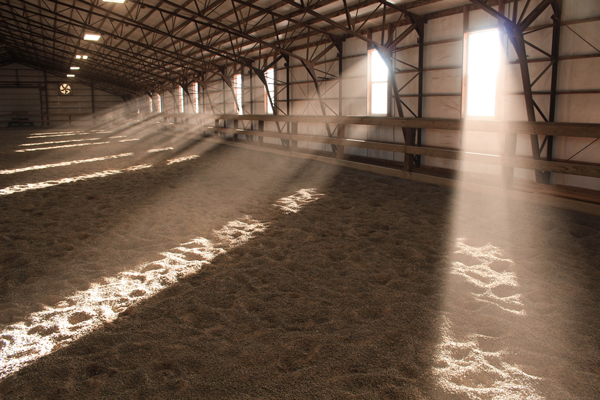 Dusty Arena and Respiratory Disease in the Horse